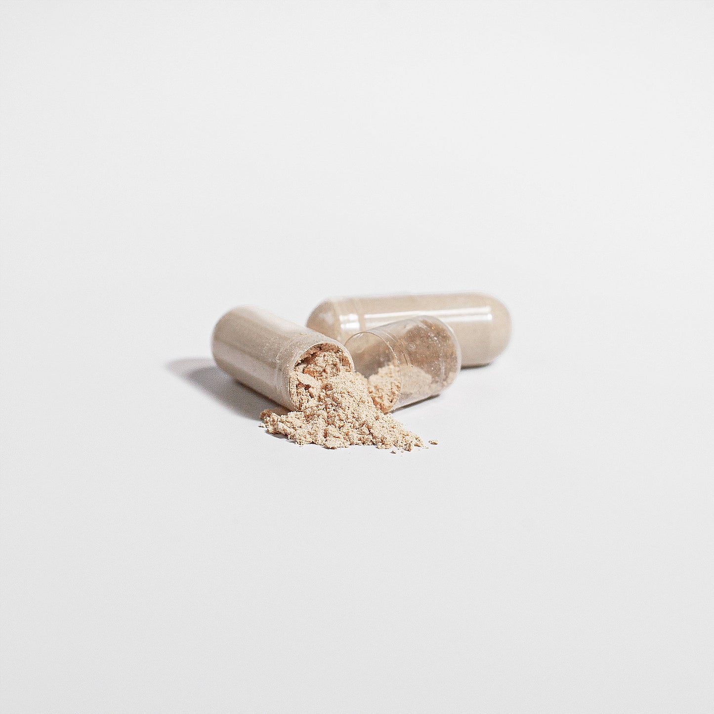 LION'S MANE Mushroom Formula - Capsules